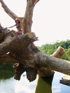 Baumriesen dieser Grösse sind normales Treibgut in Amazonas