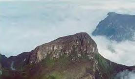 Pico da Neblina - Amzonas