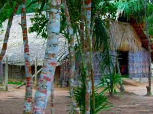 Klassische Bauweise der Indio-Häuser am Rio Negro