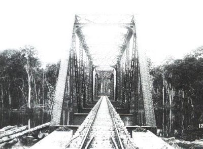 Brücken und andere Bahnhochbauten mussten mitten im Urwald errichtet werden