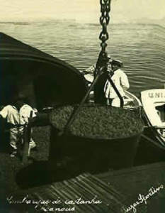 Kastanienverladung in Manaus um 1950