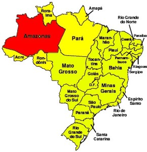 Amazonas - Brasiliens groesster Bundesstaat