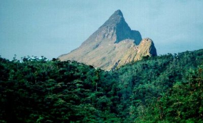 Pico da Neblina - Brasiliens höchster Berg, geheimnisumwittert und Stolz Amazoniens