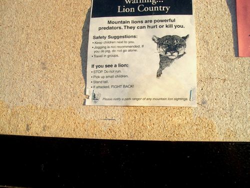Lion Warning - made in USA