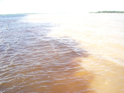 Zusammenfluss von Rio Negro und Solimoes