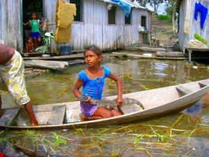 Viele Caboclos leben in bitterer Armut, junge Caimane sind ihre Haustiere zum spielen