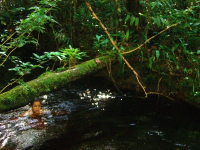 In vielen Urwaldflüssen kann relativ gefahrlos gebadet werden