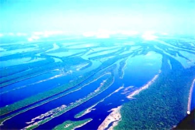 Die Inselwelt der Anavilhanans im Rio Negro